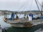 2018年5月30日（水）国分大敷水揚げ状況