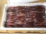 2018年5月18日(金)国分大敷水揚げ状況