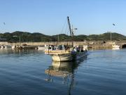 2018年5月21日(月)国分大敷水揚げ状況
