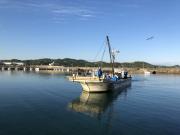 2018年5月22日(火)国分大敷水揚げ状況