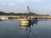 2018年6月3日(日)国分大敷水揚げ状況