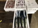 2018年5月11日(金)やなぎ水産入荷の画像 